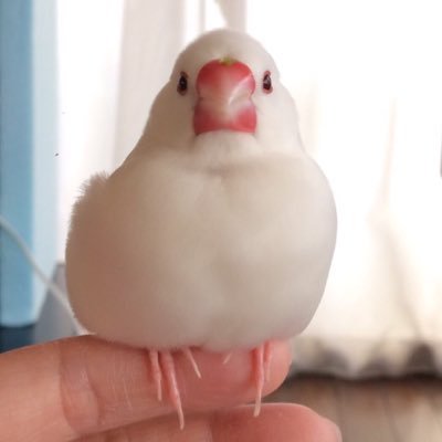 yukio110613's profile picture