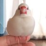 ゆきおくん profil fotoğrafı