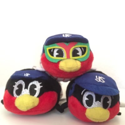 Swallows_1215's profile picture