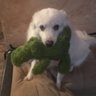 Profilbild von Yuki