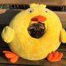 shanshan ....🧐 profil fotoğrafı