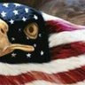 Fabulous Fulda's profile picture