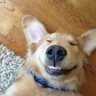 Profilbild von funnysun