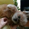 Фото профиля Bobo@XRP+altcoin