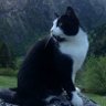 evacat profil fotoğrafı