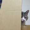 Фото профиля ゆりの/トレッキーになりかけています