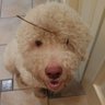 Profilbild von Theo-sophy