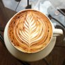 카푸치노☕︎'s profile picture