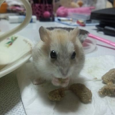 りなりな's profile picture