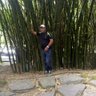 ALCIDES MAITA's profile picture