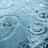 Фото профиля 雨