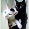 Profilbild von かずやん。