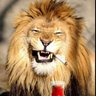 Sedat Say's profile picture