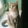 Фото профиля Givi Kot