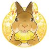 Фото профиля うさぎのランとコナンとシェリー