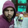 Profilbild von sachin kapil