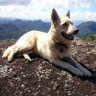 André's profile picture
