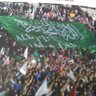 enver Tavsan's profile picture