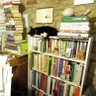Profilbild von Tessa Bennett #bemoretoddy