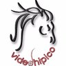 VideoHipico profil fotoğrafı