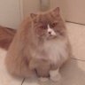 zep profil fotoğrafı