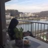 Arash profil fotoğrafı
