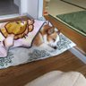 のぶ 的头像
