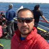 M Medina C's profile picture