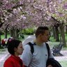 Peter Pavel profil fotoğrafı