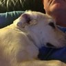Profilbild von Troy B