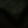 محمد's profile picture