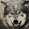 Profilbild von WolfBladeZ