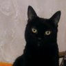 ÇgdM profil fotoğrafı
