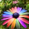 Фото профиля miccy brave