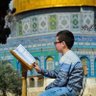 Profilbild von mohammad almasry