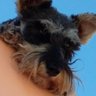 Profilbild von Edgar