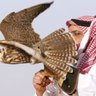 Фото профиля 🇸🇦hmd. حمد