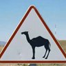 OUARACH profil fotoğrafı
