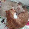 るるるん's profile picture