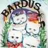 Bardus profil fotoğrafı