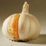 Boca golgeter's profile picture
