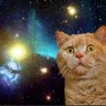 SpaceCatonAcid 的头像