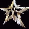 Фото профиля Jagged Star