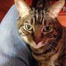 Profilbild von Spike's Buddy