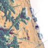 Фото профиля بدر السمي