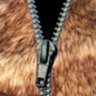 Profilbild von FoxPawMcfly (18+ ONLY)