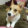 いずみ/ そら🌈 & はる profil fotoğrafı