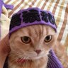 高城幕僚長💜生涯れにちゃん推し💜's profile picture
