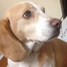 ばん's profile picture