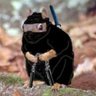 Disparu's profile picture
